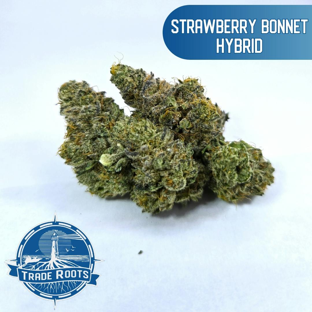Shop Cannabis in Wareham, MA | Trade Roots