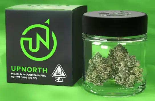 UpNorth 3.5g Jar - Brazilian Haze at Harborside (San Francisco)