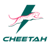 Cheetah