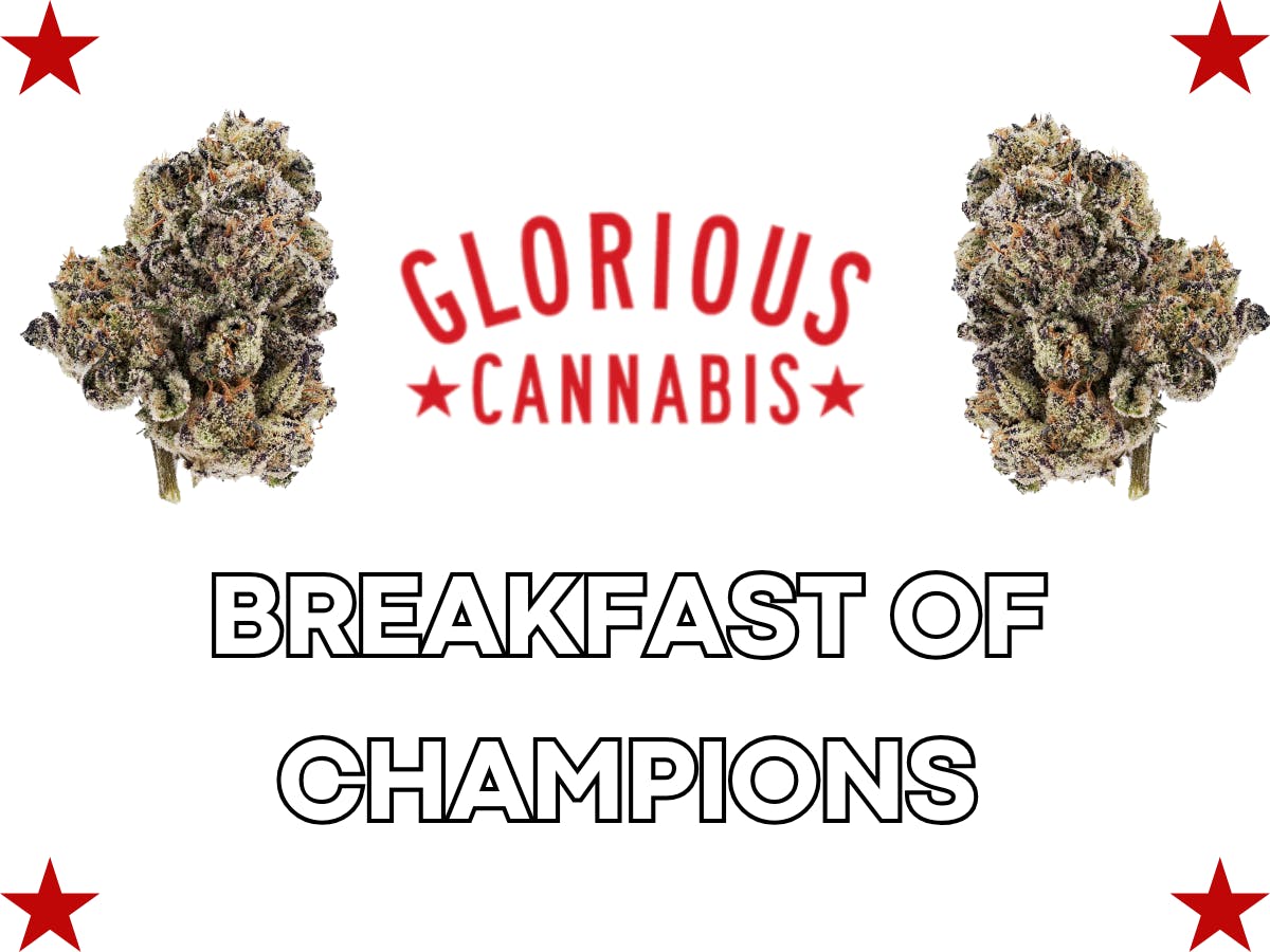 Product: GLORIOUS CANNABIS CO. | BREAKFAST OF CHAMPIONS | BULK | HYBRID