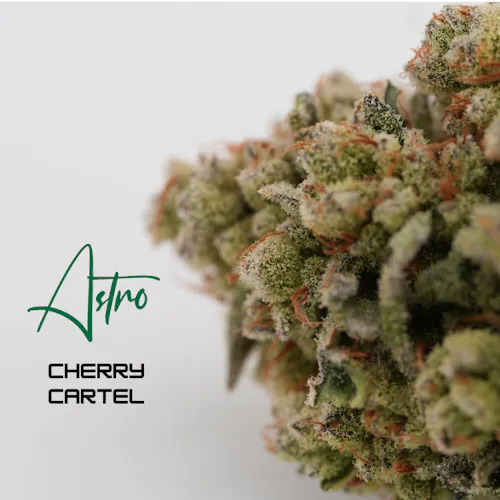Astro | Flower | Cherry Cartel | 3.5g-active