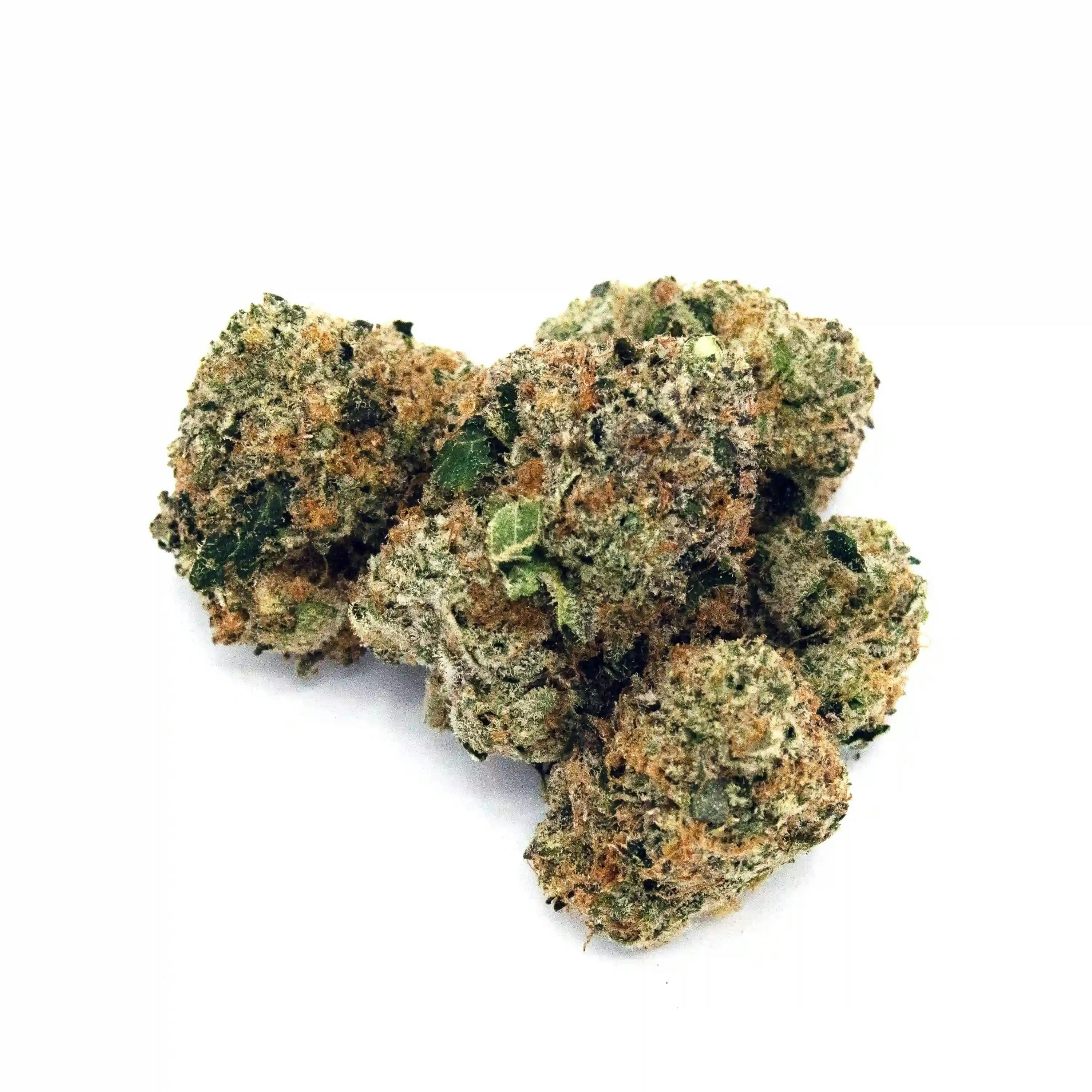 Bowhouse BOW HOUSE | SPEAKER KNOCKERZ | BULK | INDICA — FLOWER