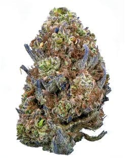 Bowhouse BOW HOUSE | SOUTHERN FUEL | BULK | HYBRID — FLOWER