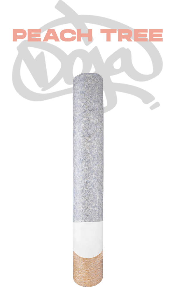 Product: DOJA EXCLUSIVE | PEACH TREE | PRE-ROLL SATIVA-HYBRID
