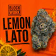 Blockwork Lemon Lato