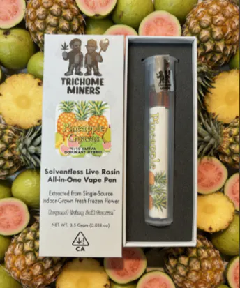 Clark Little Pineapple Express クラーク・リトル Trichome Miners Solventless AIO - Pineapple Guavas .5g at