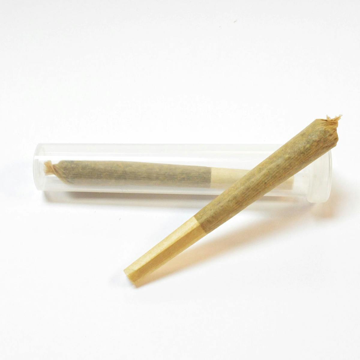 Image of Perpetual | Indian Landrace | BHO Infused Pre-Roll | 0.5 | 2 pack