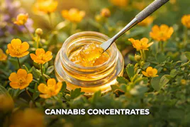Concentrates category image
