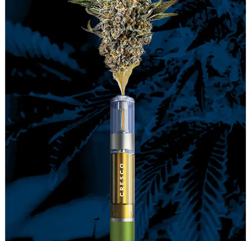 Liquid Live Resin Cart – Satoshi-1