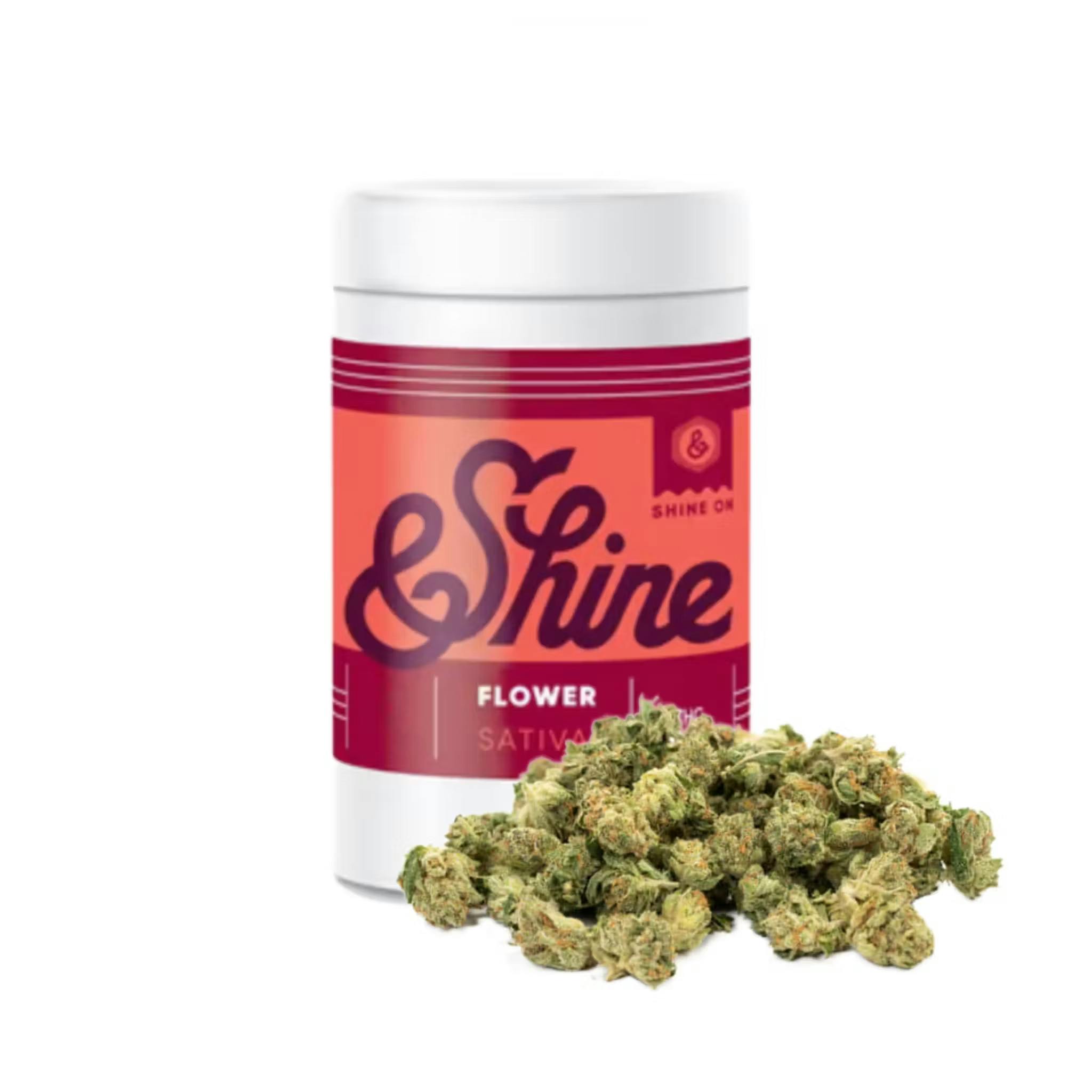 Durban Z • Flower • 14g | &Shine by &Shine | Buy Online