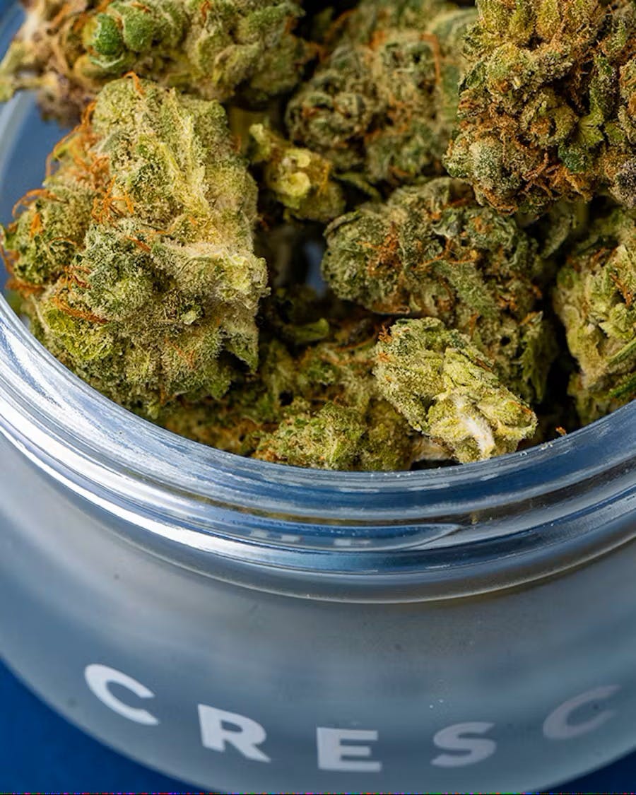 Product: CRESCO | LEMON MARASCHINO - PRE PACK POUCH SATIVA