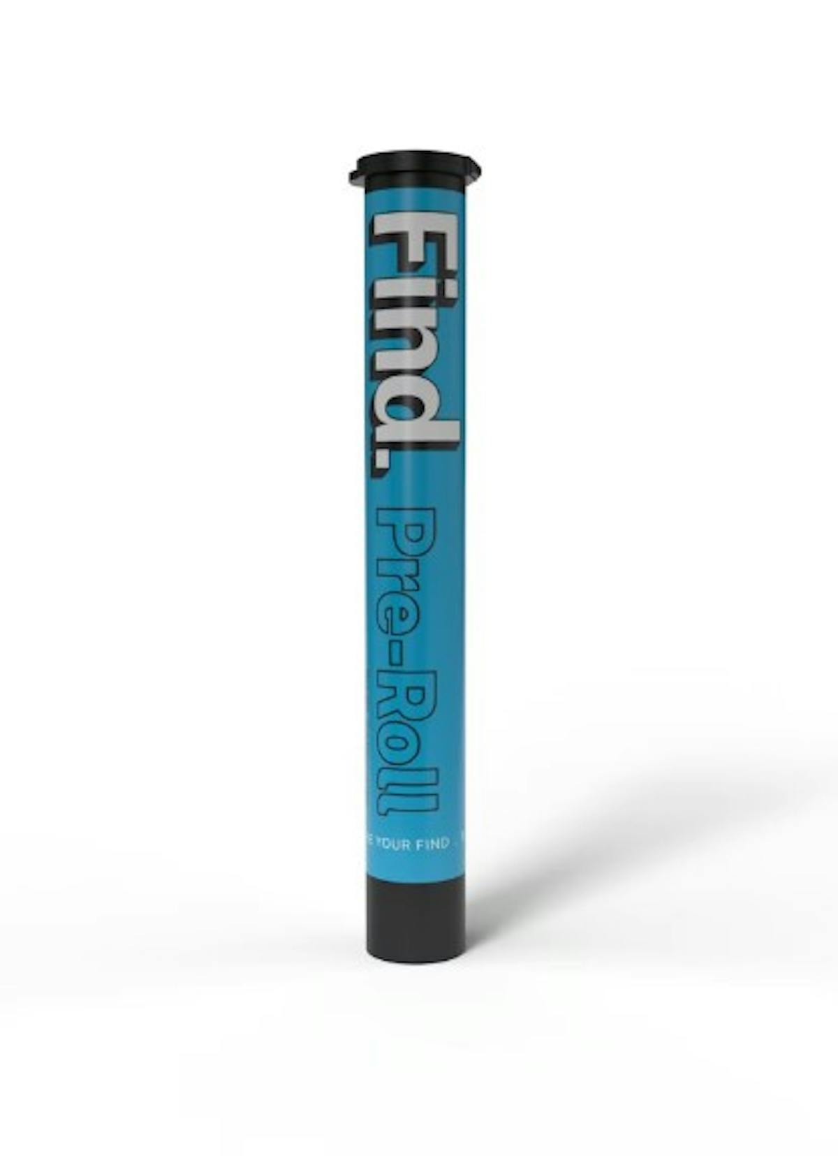 Photo of Find Burnt Toast Preroll