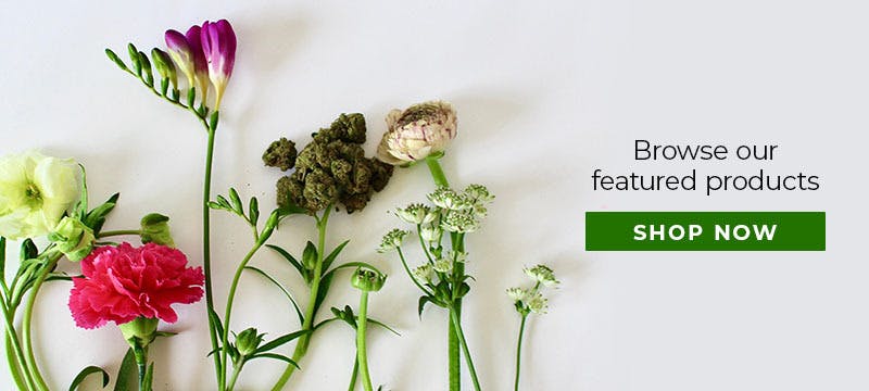 Spiritleaf (Little Italy) Menu - a Cannabis Dispensary in Toronto, ON