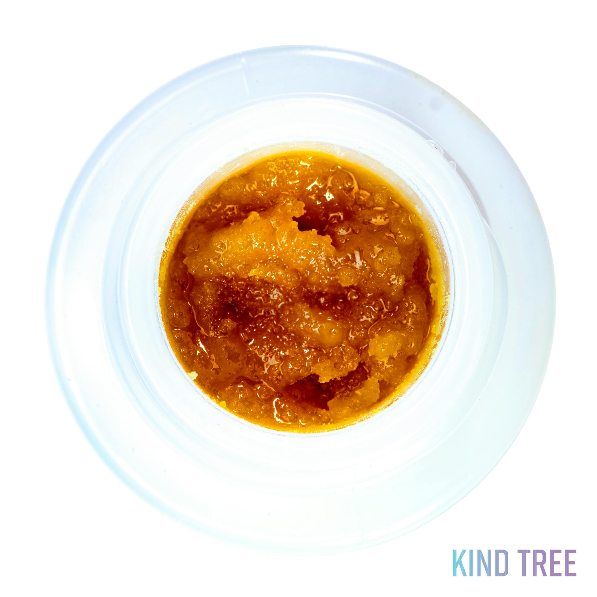 Damar Tree Resin – Dee's Bees NZ