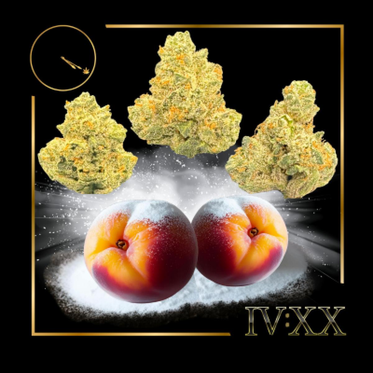Photo of Four20 – Powder Peach – Popcorn Buds 28g
