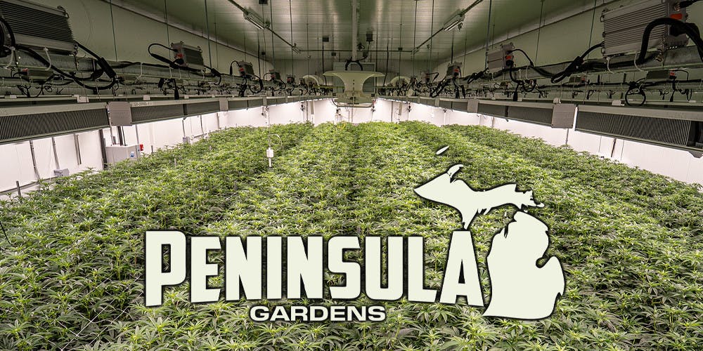 PENINSULA GARDENS | YELLOW MERMAID - HAND ROLL SATIVA-HYBRID