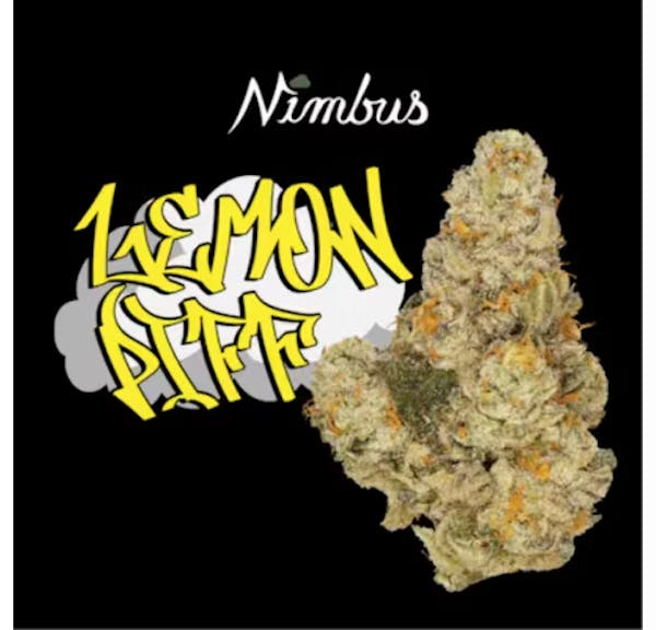 Lemon Piff (SH) - 3.5g Hand Trimmed Flower - Nimbus