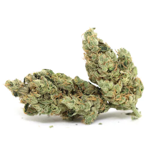 Maui Skunk Dawg – Pakalolo-active