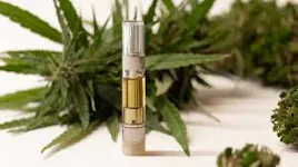 Vaporizers category image