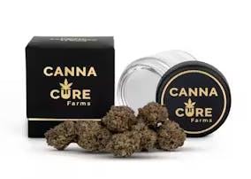 Product Blockberry (H) Canna Cure