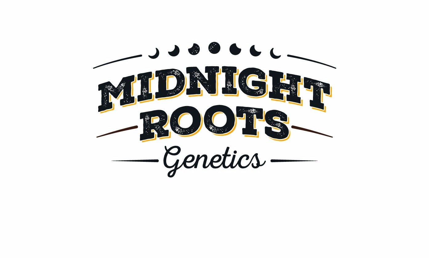 Midnight Roots - 200mg Full Moon - Sugar Free Milk Chocolate