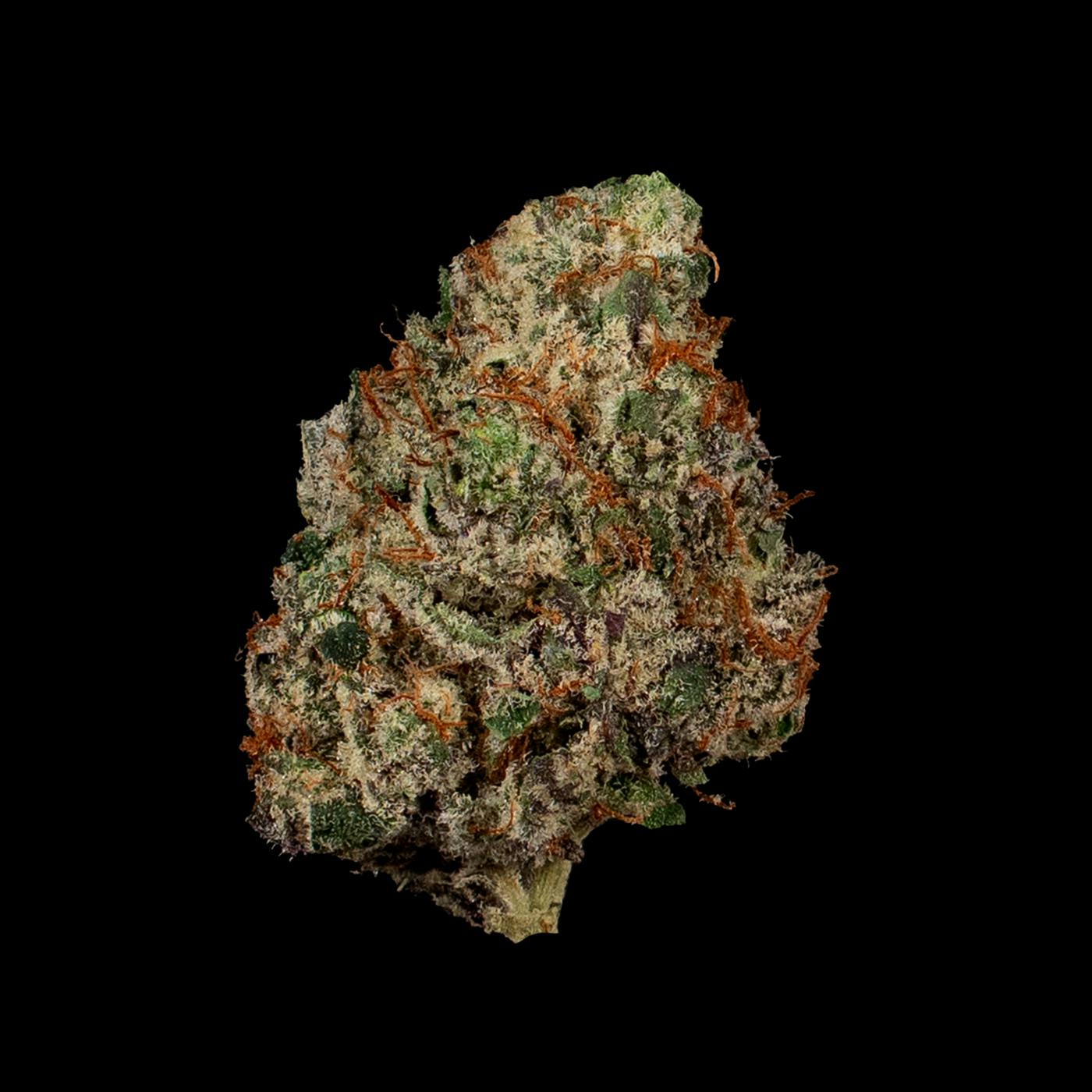 Product: Cookies | Bulk Bud - Vienna