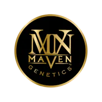 Maven Genetics Logo