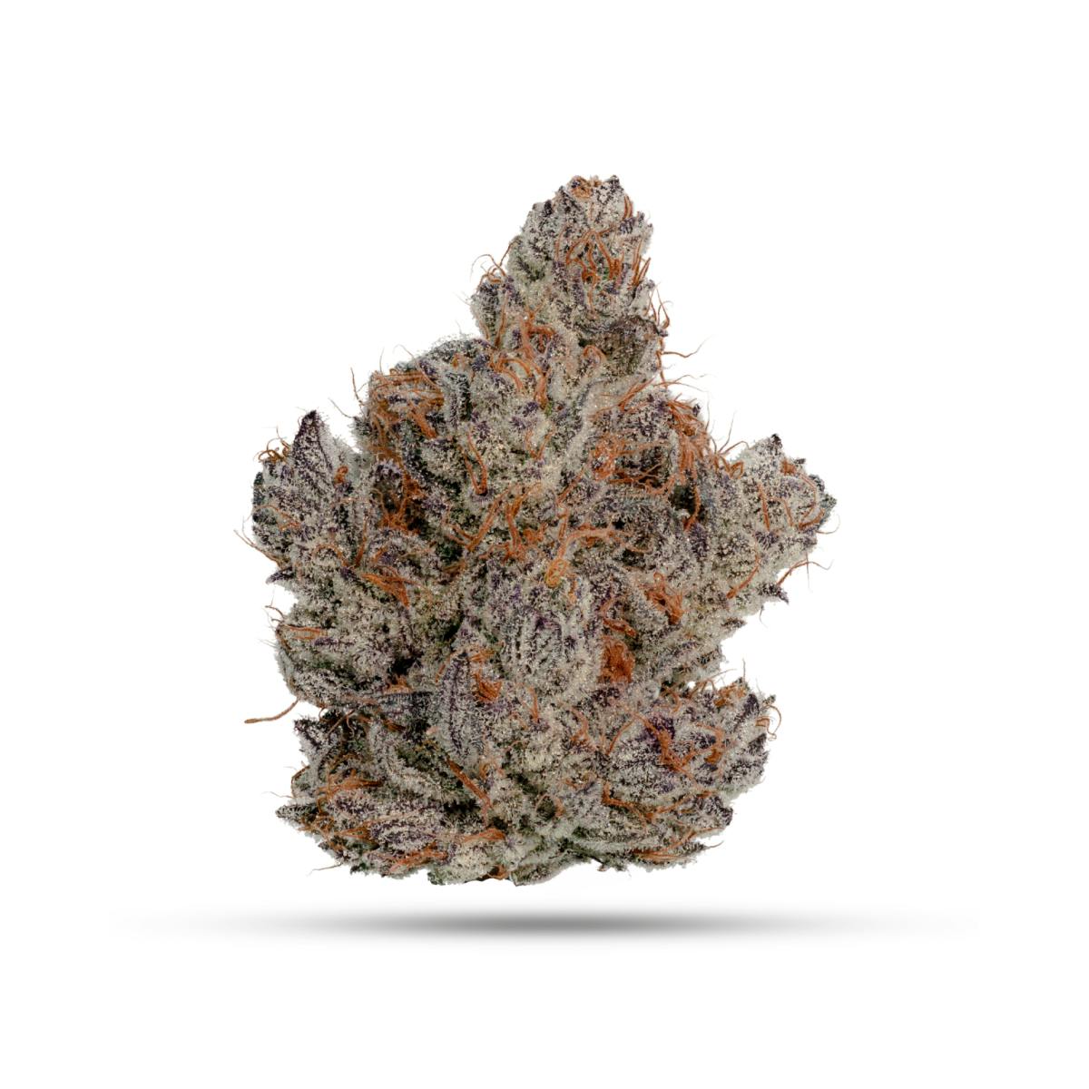 Product Blockberry | Flower