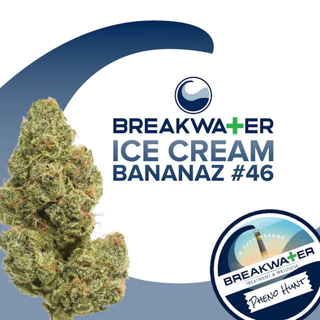 Breakwater Flower Ice Cream Bananaz #46 7g (hybrid)