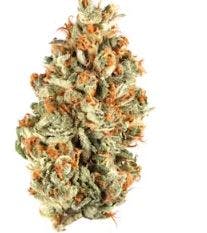 Product American Pie Buds