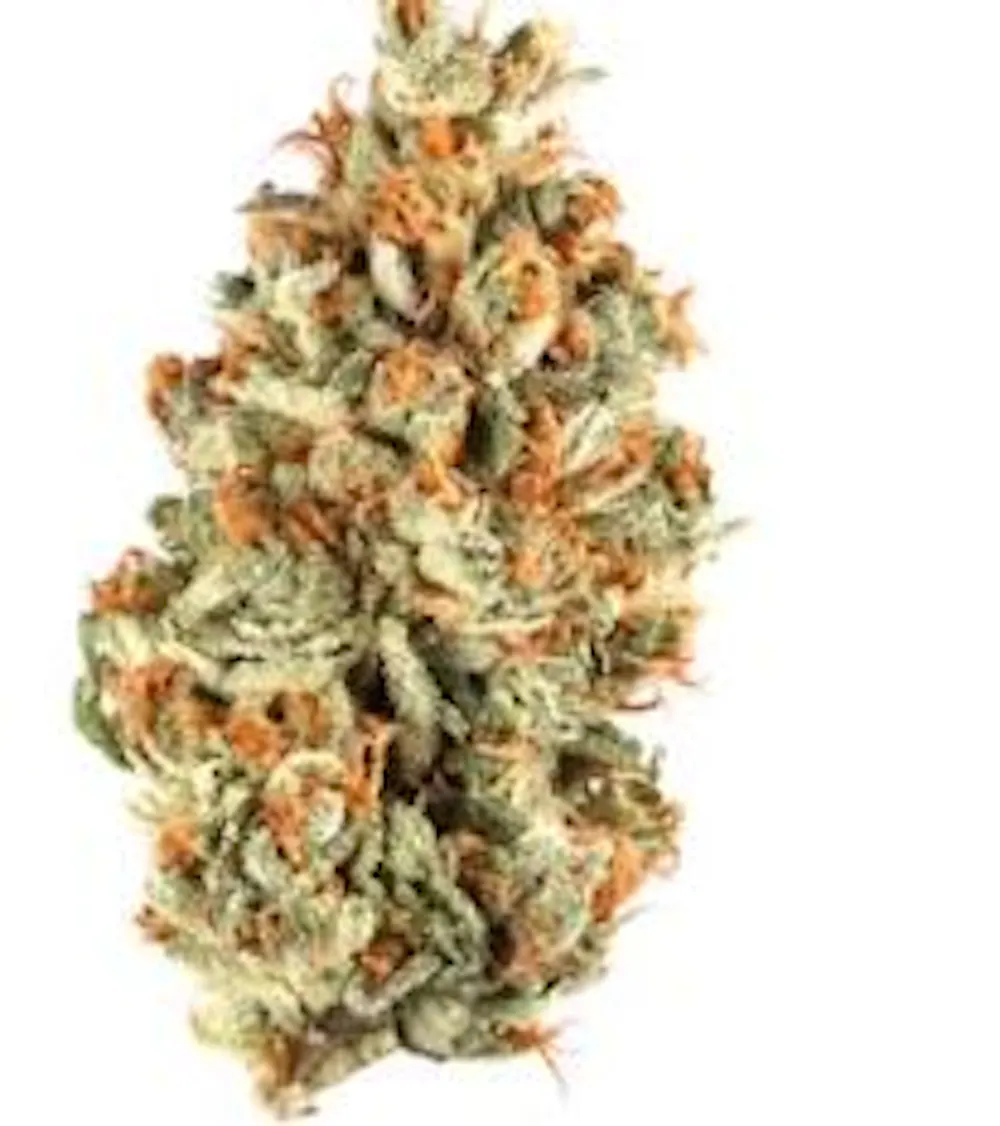 Product American Pie Buds