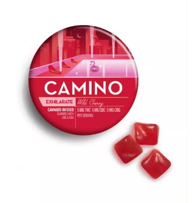 Camino Wild Cherry Exhilarate Gummies