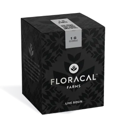 Tropical Punch (H)  – Live Rosin Gummies (100mg) – Floracal-active
