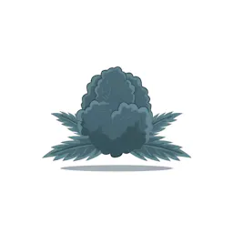 Flower category image
