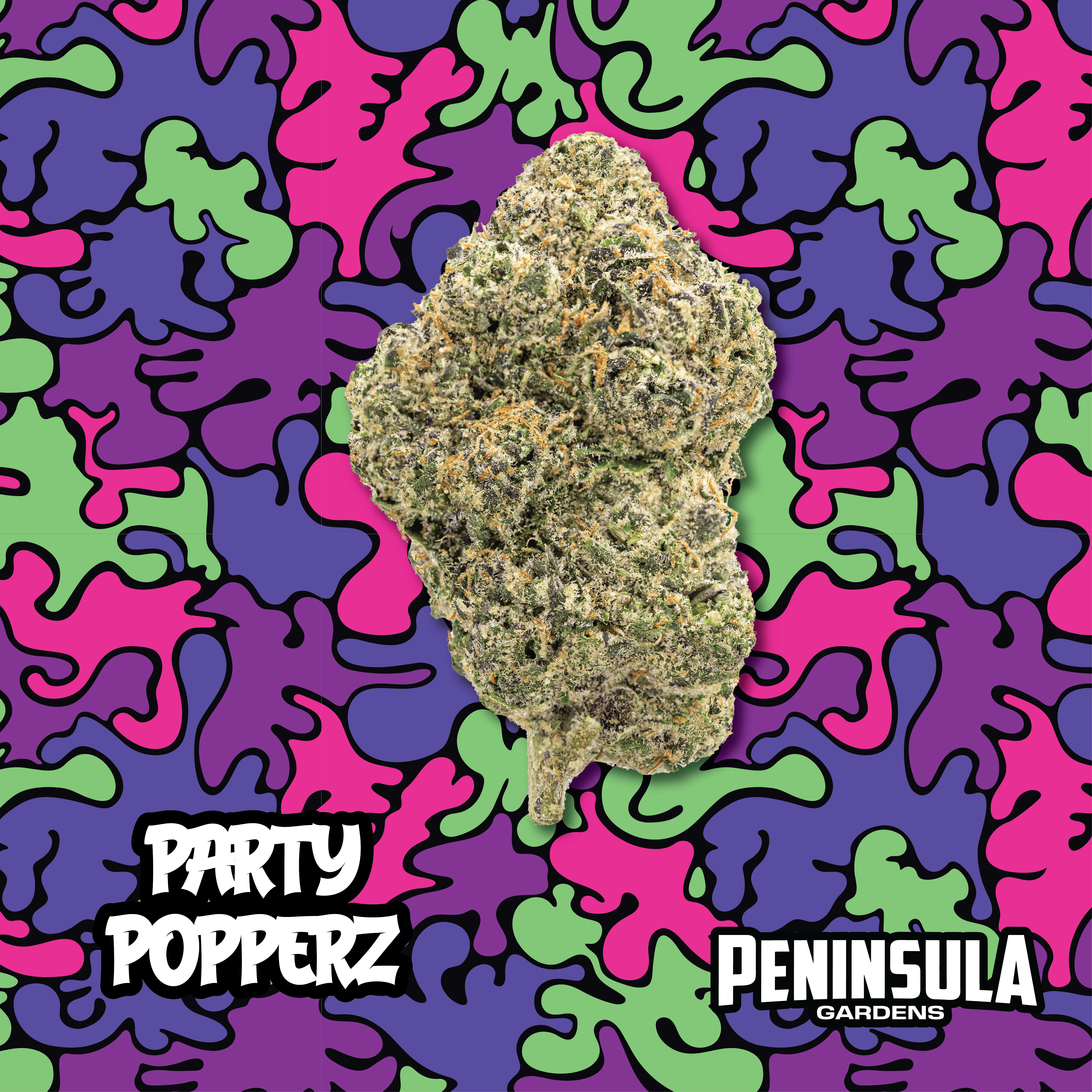 Peninsula Gardens | Party Poppers | Deli Flower