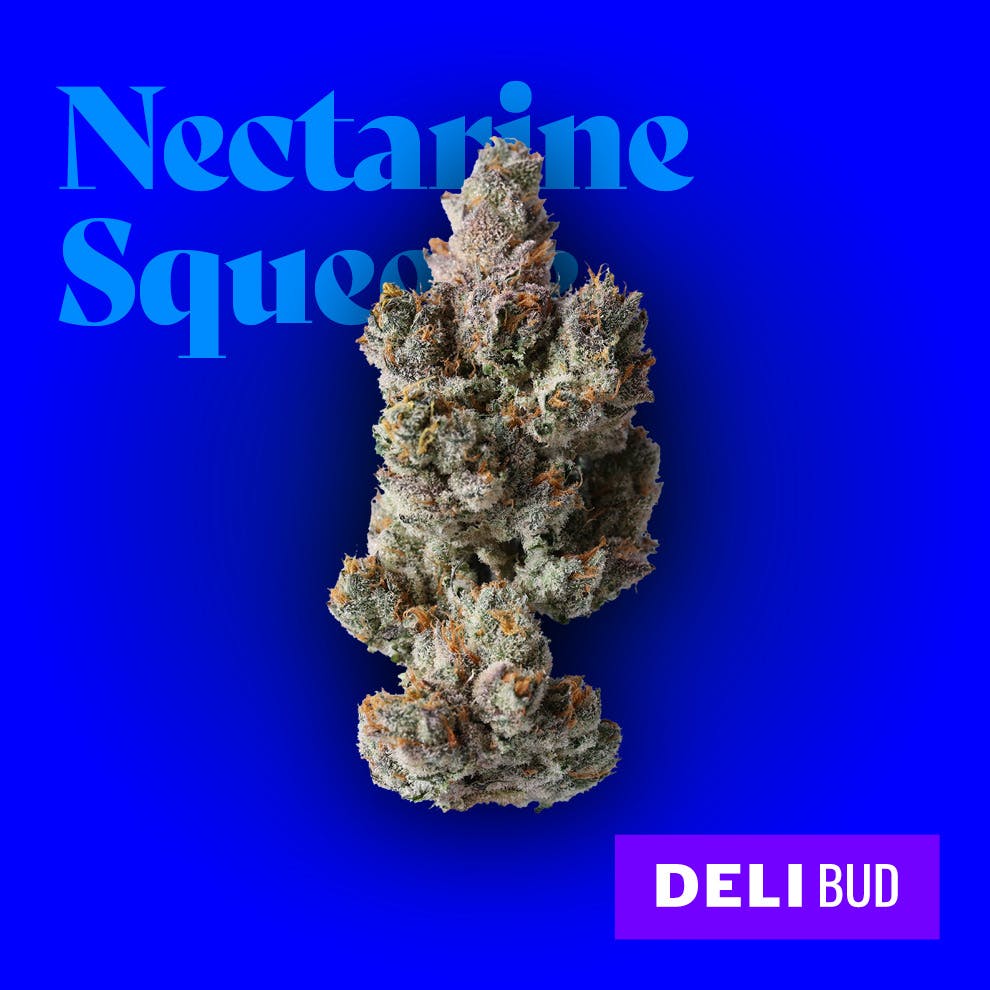 Nectarine Squeeze | Deli | High Profile (Dutchie Sandbox)