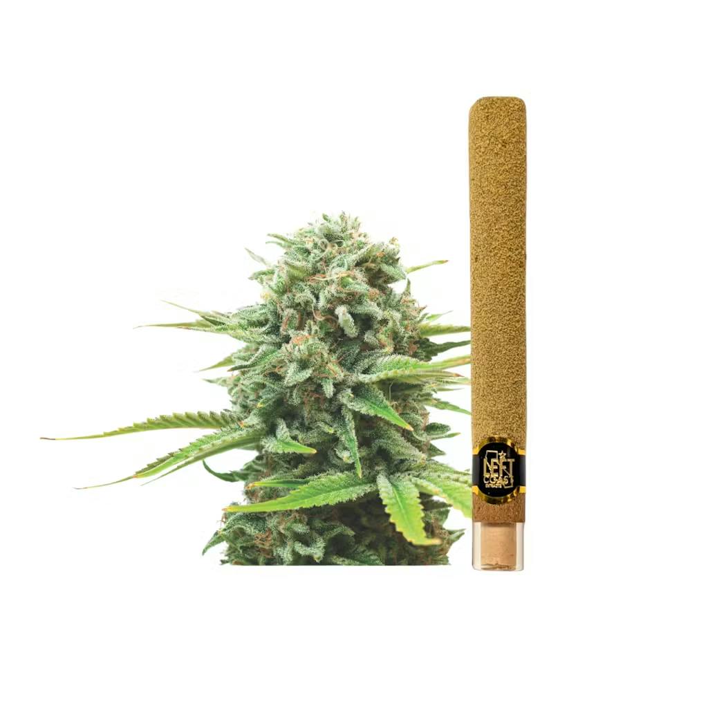 Left Coast - 2g Infused Blunt - Monster Cookie