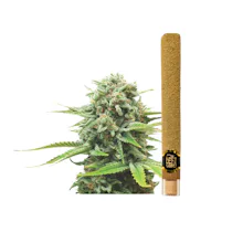 Left Coast - 2g Infused Blunt - Monster Cookie - PRE_ROLLS by Left Coast at King of Budz