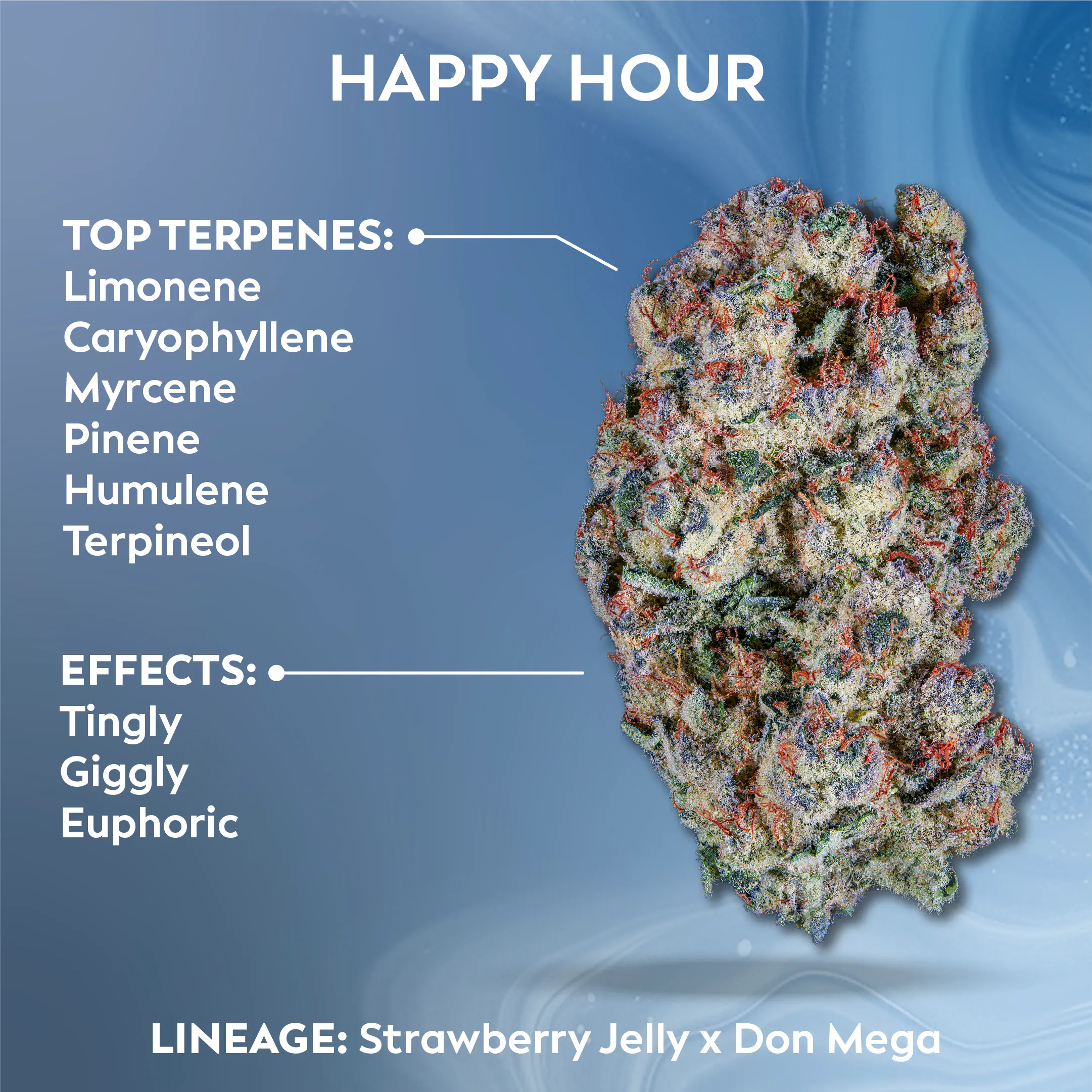 at Ascend Dispensary - Logan Square