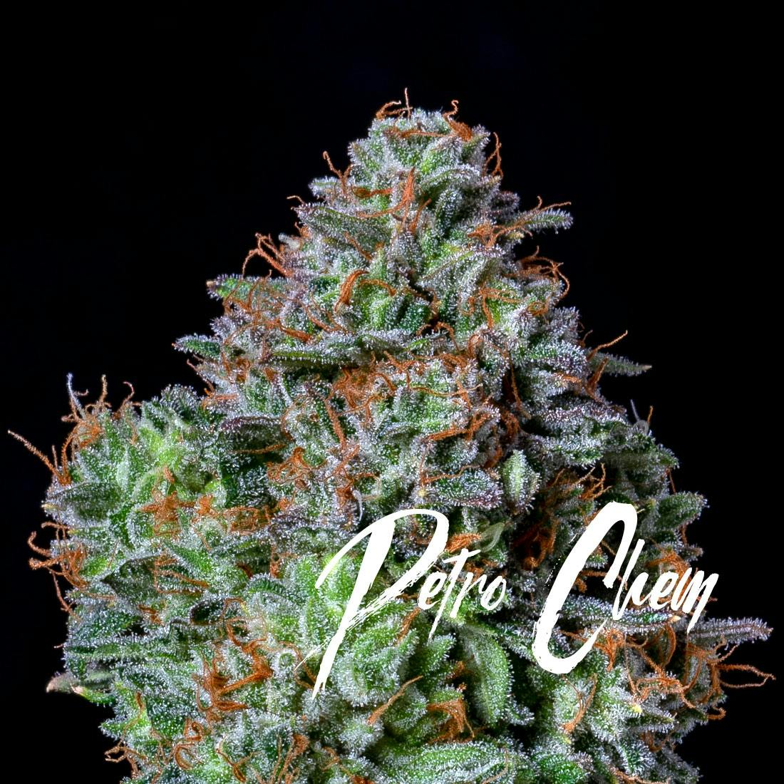 Petro Chem-0