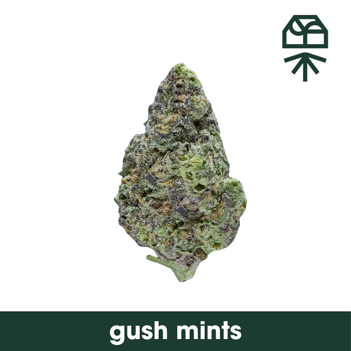 Photo of Grassroots | Gush Mints 3.5g