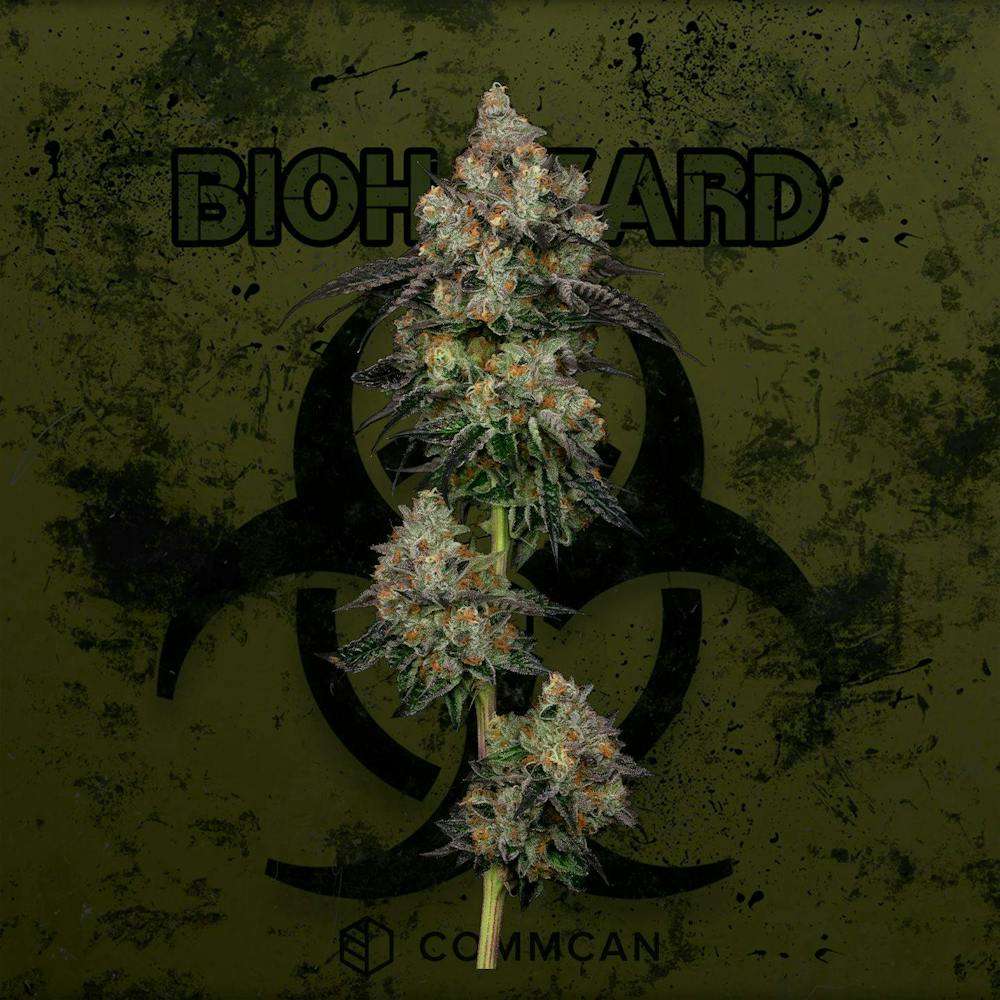 Product Biohazard | Bulk Flower