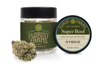 Super Boof Hybrid | Florist Farms