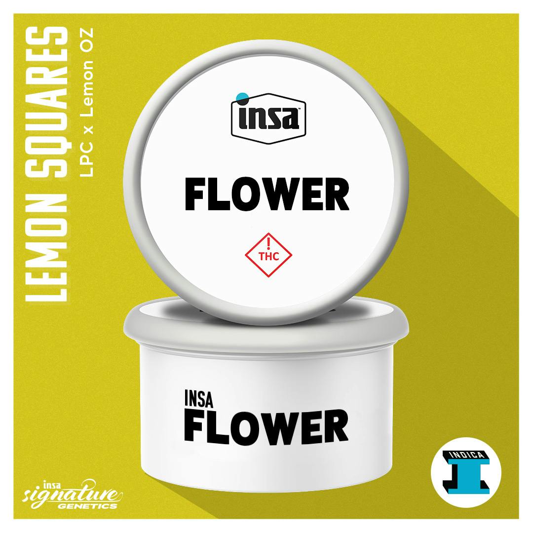 Flower - Lemon Squares