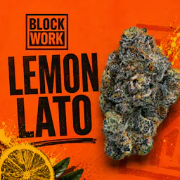 BlockWork Lemon Lato