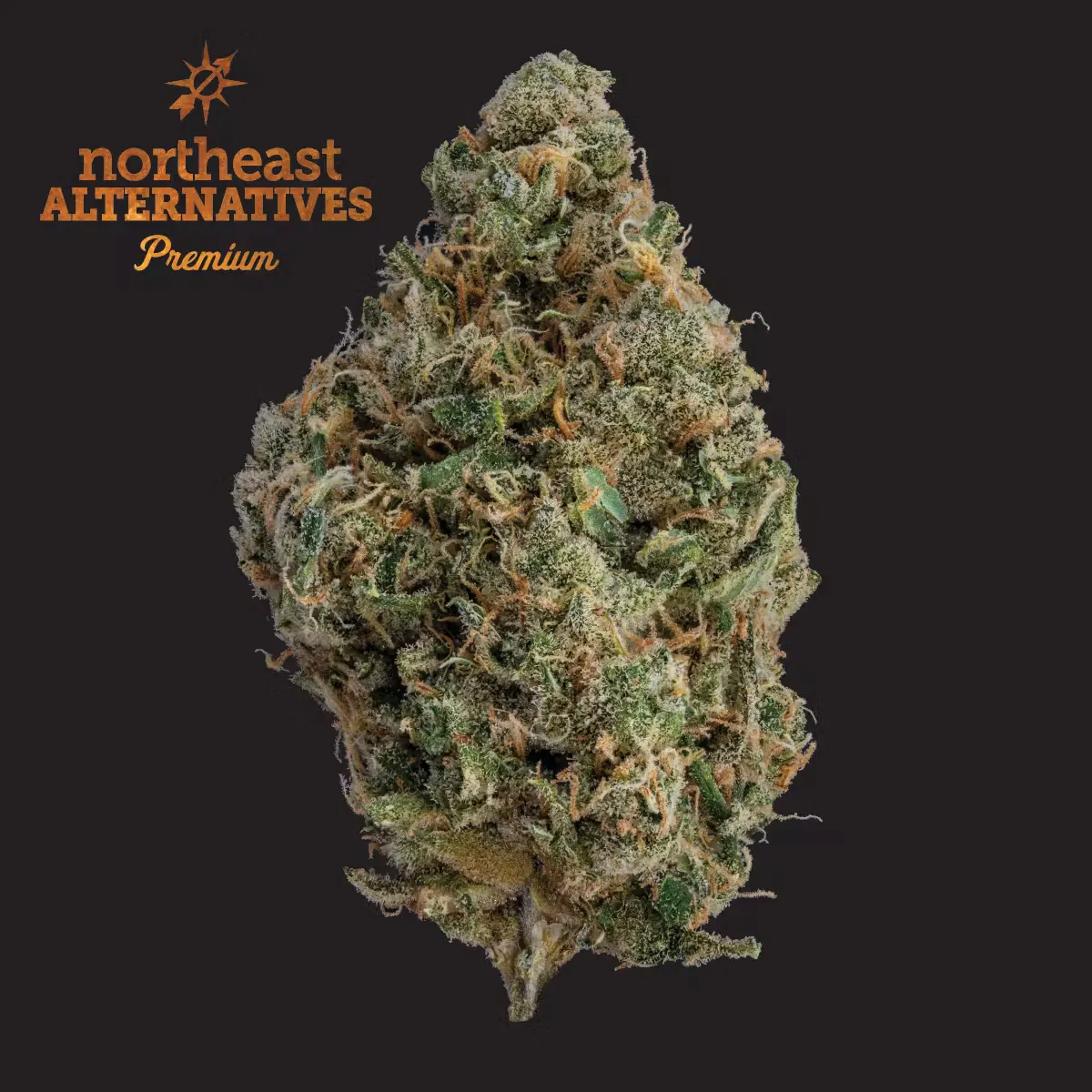 Zaza Green - Springfield