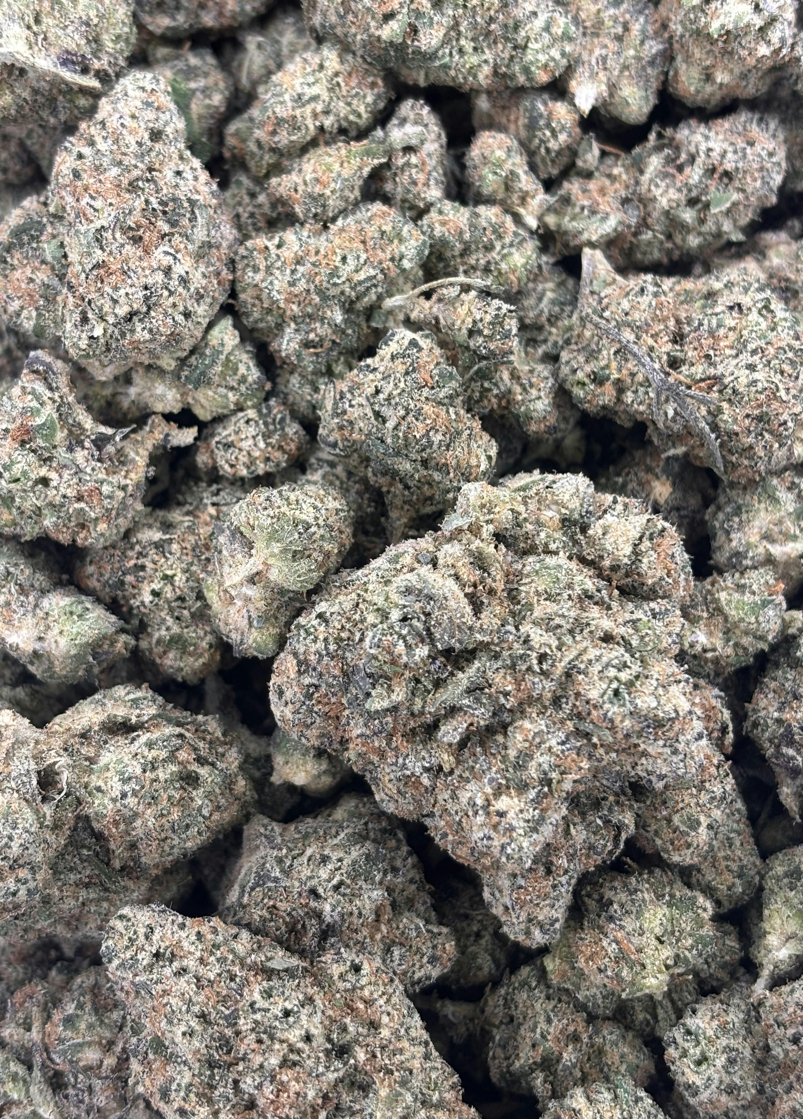 Berry Bomb | Deli Flower (Gold)