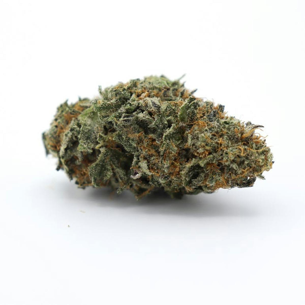 Image of Panama Pupil | 3.5g