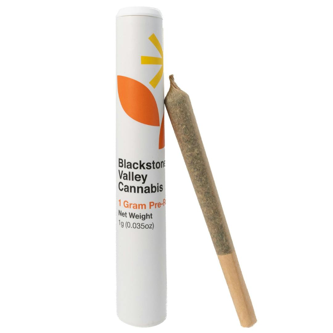 Blackstone Valley Cannabis Lemon X | Cape Cod Cannabis