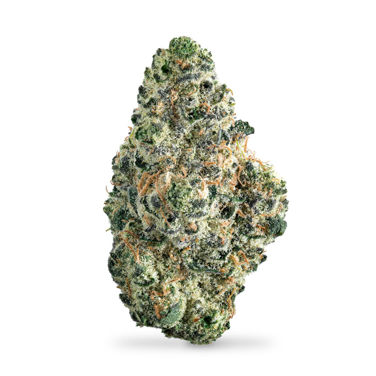 Photo of Banana Cream Pie